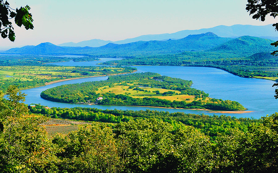 Indiewire推荐《风流一代》为本届戛纳电影节必看影片